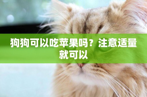 狗狗可以吃蘋果嗎？注意適量就可以