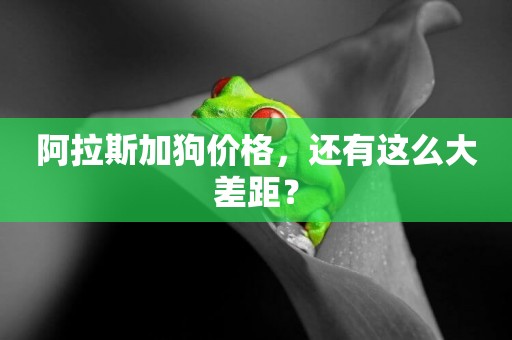 阿拉斯加狗價格，還有這么大差距？