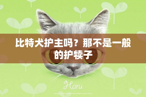 比特犬護主嗎？那不是一般的護犢子
