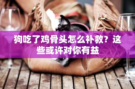 狗吃了雞骨頭怎么補救？這些或許對你有益