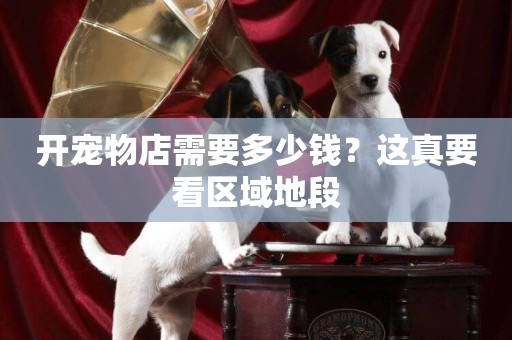 開寵物店需要多少錢？這真要看區域地段