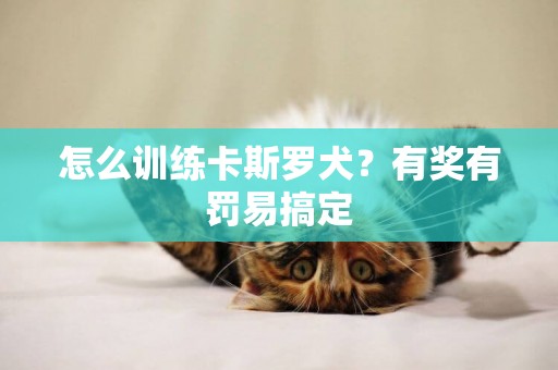 怎么訓練卡斯羅犬？有獎有罰易搞定