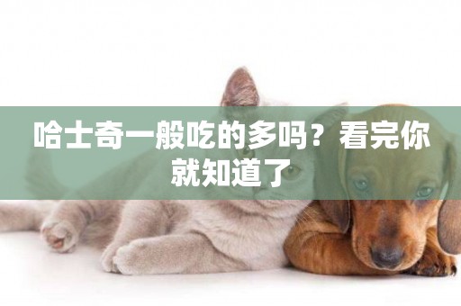 哈士奇一般吃的多嗎？看完你就知道了