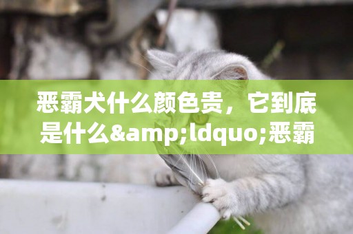 惡霸犬什么顏色貴，它到底是什么&ldquo;惡霸&rdquo;