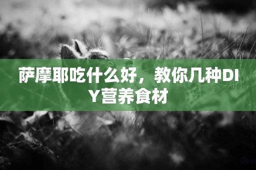 薩摩耶吃什么好，教你幾種DIY營養食材