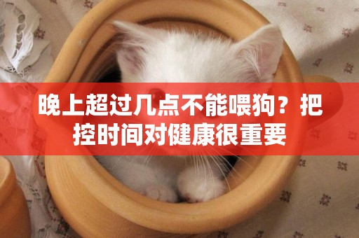 晚上超過幾點不能喂狗？把控時間對健康很重要