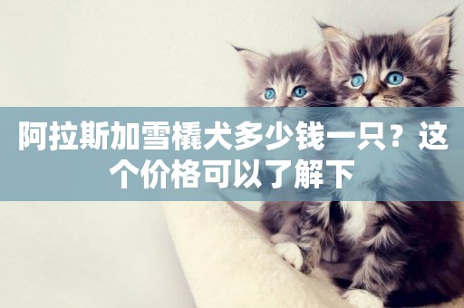 阿拉斯加雪橇犬多少錢一只？這個價格可以了解下