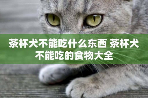 茶杯犬不能吃什么東西 茶杯犬不能吃的食物大全