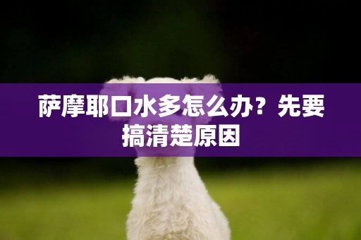 薩摩耶口水多怎么辦？先要搞清楚原因