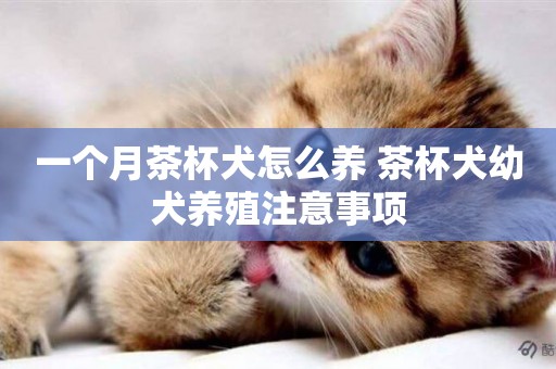 一個月茶杯犬怎么養 茶杯犬幼犬養殖注意事項
