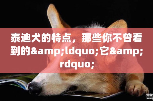 泰迪犬的特點，那些你不曾看到的&ldquo;它&rdquo;