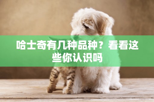 哈士奇有幾種品種？看看這些你認識嗎