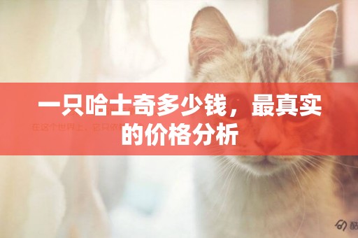 一只哈士奇多少錢，最真實的價格分析