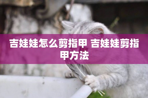 吉娃娃怎么剪指甲 吉娃娃剪指甲方法