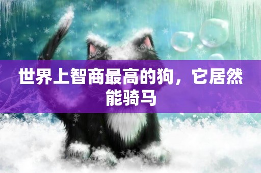 世界上智商最高的狗，它居然能騎馬