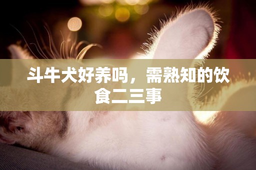 斗牛犬好養嗎，需熟知的飲食二三事