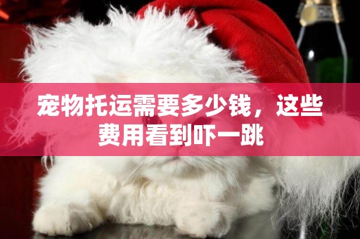 寵物托運需要多少錢，這些費用看到嚇一跳