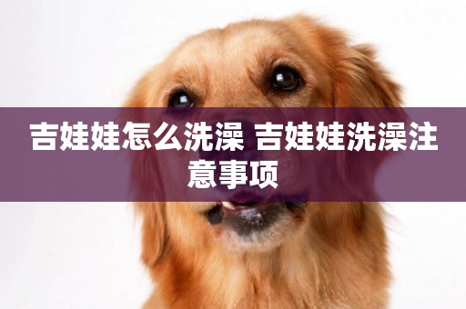吉娃娃怎么洗澡 吉娃娃洗澡注意事項
