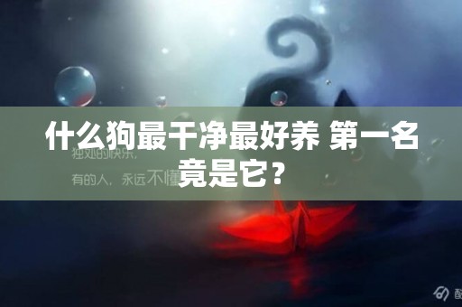 什么狗最干凈最好養 第一名竟是它？