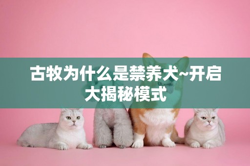 古牧為什么是禁養犬~開啟大揭秘模式