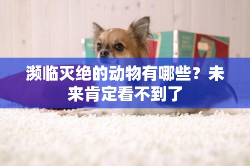 瀕臨滅絕的動物有哪些？未來肯定看不到了
