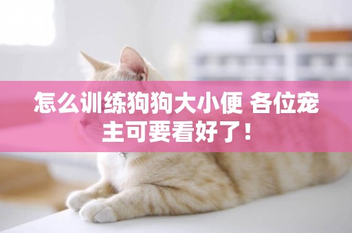 怎么訓練狗狗大小便 各位寵主可要看好了！