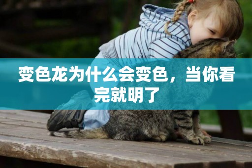 變色龍為什么會變色，當你看完就明了