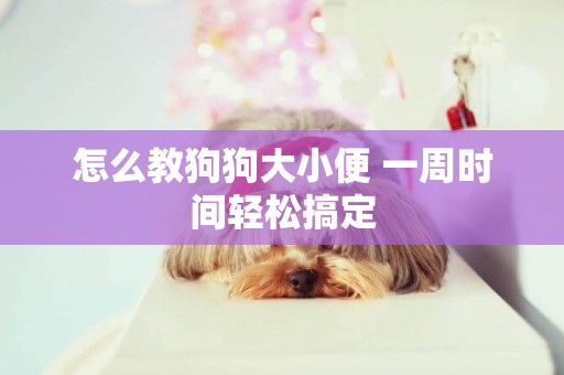 怎么教狗狗大小便 一周時間輕松搞定