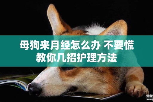 母狗來月經怎么辦 不要慌教你幾招護理方法