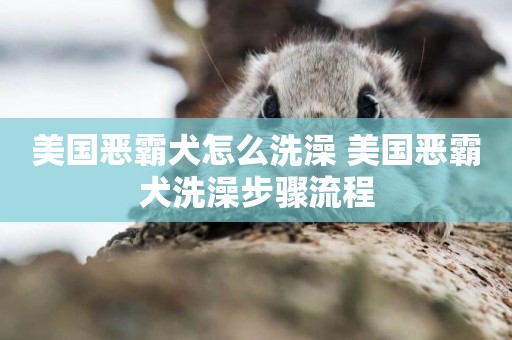 美國惡霸犬怎么洗澡 美國惡霸犬洗澡步驟流程