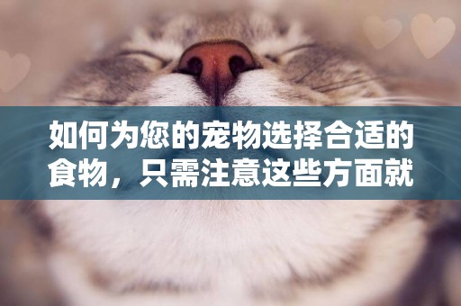 如何為您的寵物選擇合適的食物，只需注意這些方面就行了