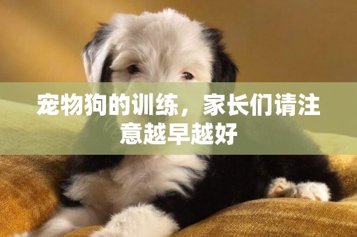 寵物狗的訓練，家長們請注意越早越好
