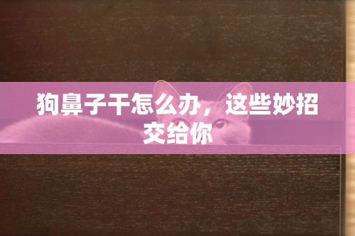 狗鼻子干怎么辦，這些妙招交給你