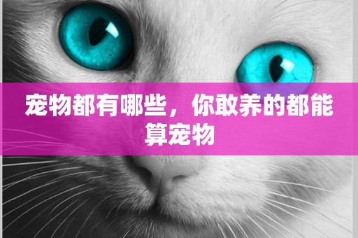 寵物都有哪些，你敢養的都能算寵物