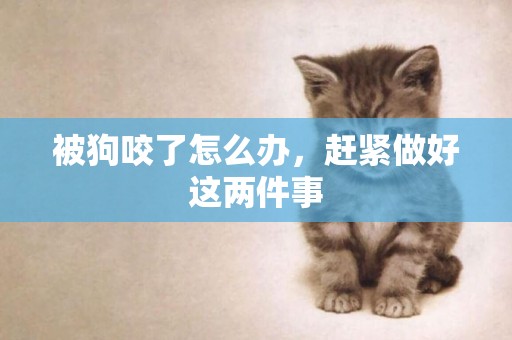 被狗咬了怎么辦，趕緊做好這兩件事