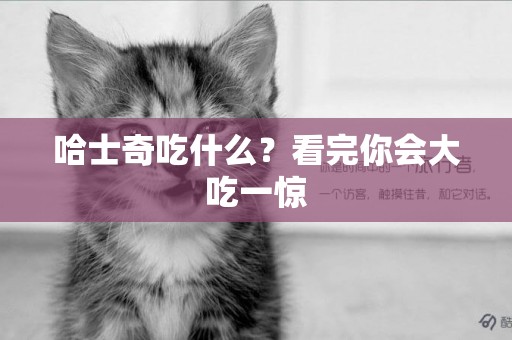 哈士奇吃什么？看完你會大吃一驚