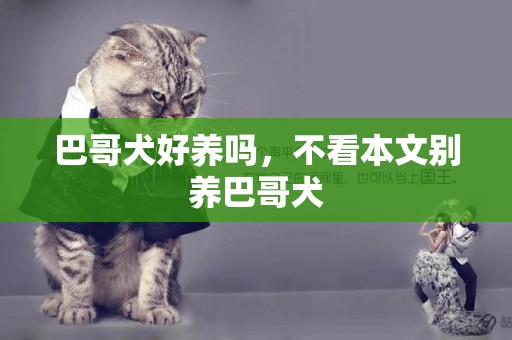 巴哥犬好養嗎，不看本文別養巴哥犬