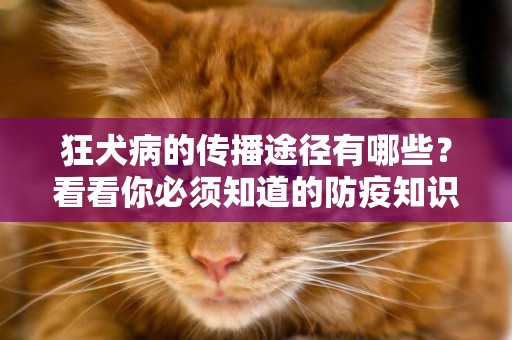 狂犬病的傳播途徑有哪些？看看你必須知道的防疫知識！
