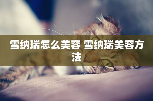 雪納瑞怎么美容 雪納瑞美容方法