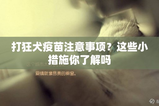 打狂犬疫苗注意事項？這些小措施你了解嗎