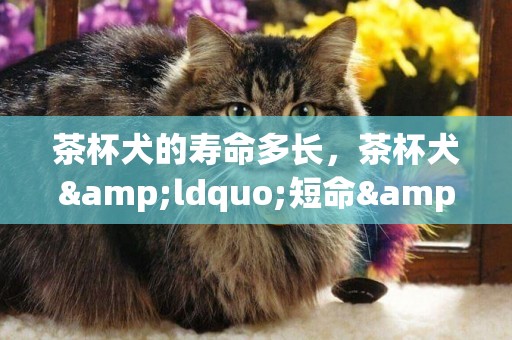 茶杯犬的壽命多長，茶杯犬&ldquo;短命&rdquo;背后殘忍真相