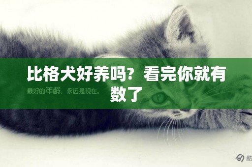 比格犬好養嗎?  看完你就有數了
