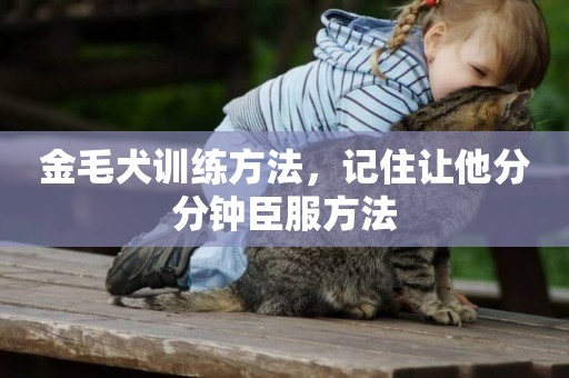 金毛犬訓練方法，記住讓他分分鐘臣服方法