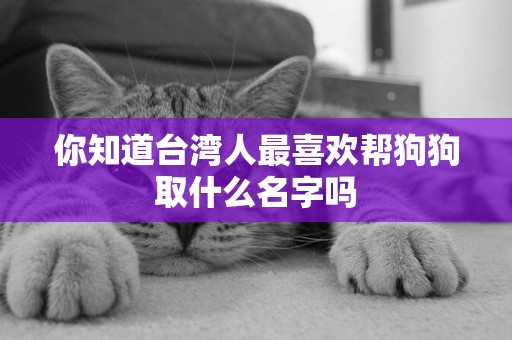 你知道臺灣人最喜歡幫狗狗取什么名字嗎