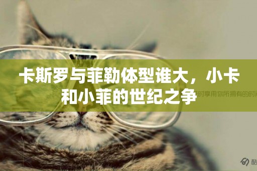 卡斯羅與菲勒體型誰大，小卡和小菲的世紀之爭