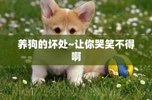養狗的壞處~讓你哭笑不得啊
