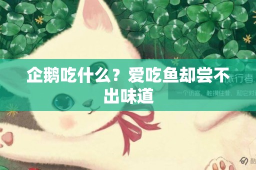 企鵝吃什么？愛吃魚卻嘗不出味道