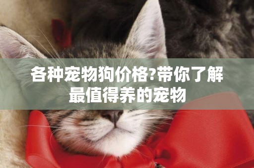 各種寵物狗價格?帶你了解最值得養的寵物