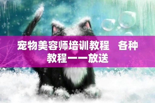 寵物美容師培訓教程   各種教程一一放送