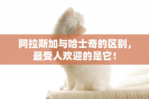 阿拉斯加與哈士奇的區別，最受人歡迎的是它！
